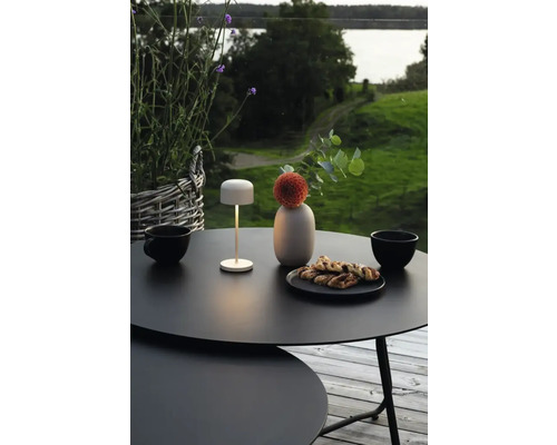 Scen med trädgårdsbord, dekoration och lampa