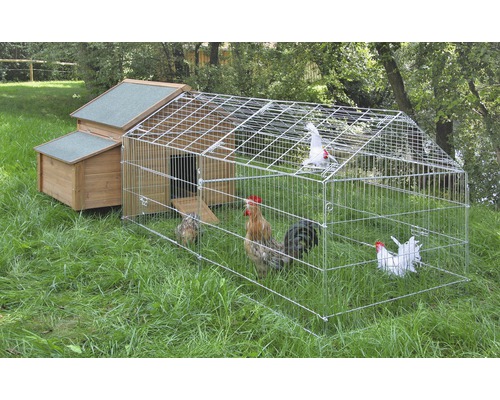 Hönshus med löpgård och flera höns i det gröna