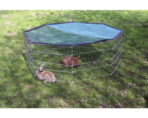 Utomhusinhägnad för smådjur med två kaniner i trädgården