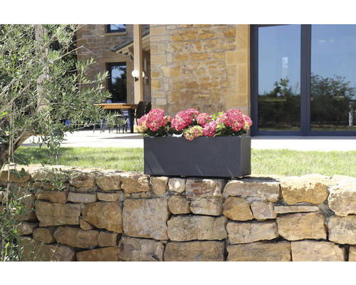 Rektangulär stenplanteringslåda med rosa hortensior på en stenmur i trädgården.