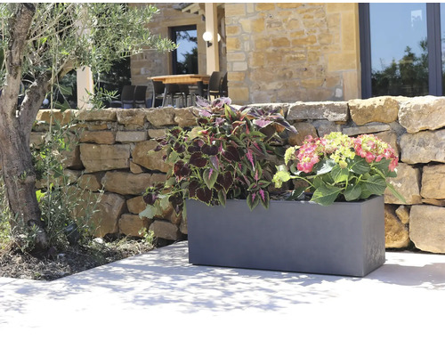 Blomlåda i plast med växter framför en stenmur