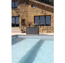 Stenhus med pool och planterad blomlåda i trädgården.