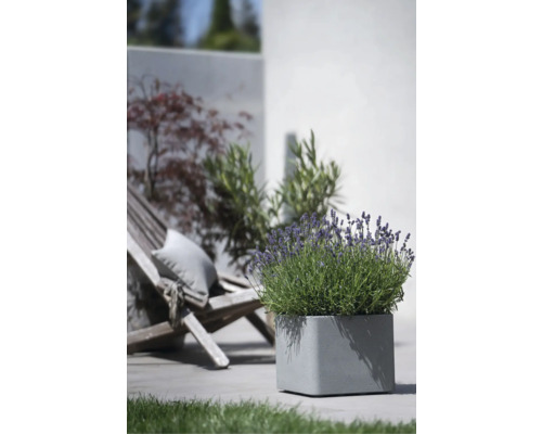 Fyrkantig blomlåda med lavendel på en terrass