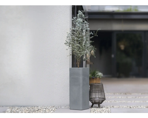 Betongkruka med växt utomhus