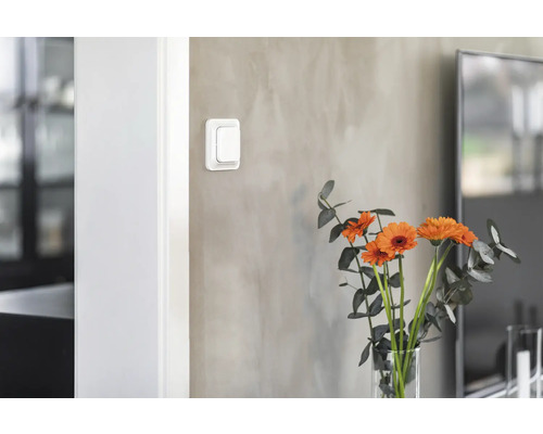 Interiörbild av ett rum med en strömbrytare på väggen och en vas med blommor