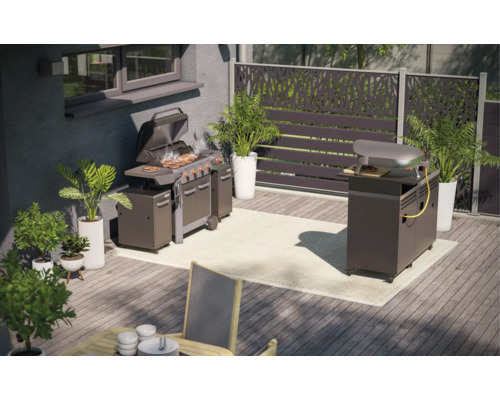 Uteplats med grill, pizzaugn, växter och insynsskydd