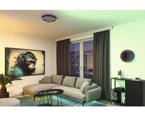 Vardagsrum med grå soffgrupp, soffbord, krukväxt, taklampa och väggmålning