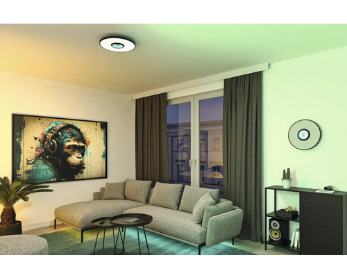 Vardagsrum med soffa, soffbord, krukväxt, skåp och taklampa