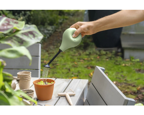 En person vattnar en växt i en kruka på ett bord med en vattenkanna.