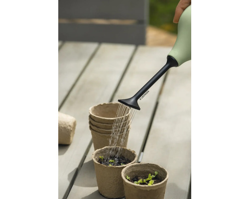 Vattning av växter i krukor med en vattenkanna