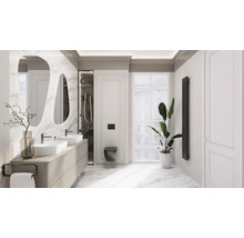 Ljust badrum med dubbla handfat, speglar, toalett, element och krukväxt