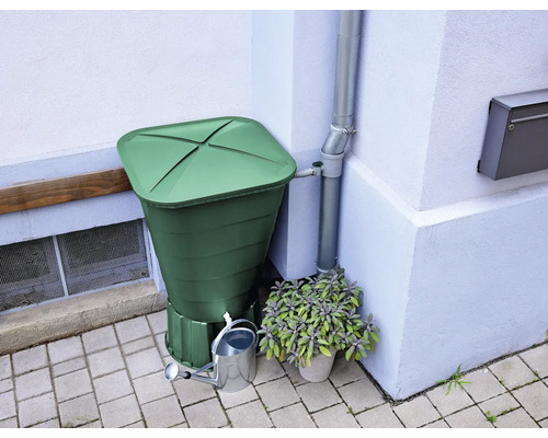 Regntunna bredvid stuprör med vattenkanna och krukväxt