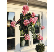 Konstväxt pelargon i kruka 40cm rosa