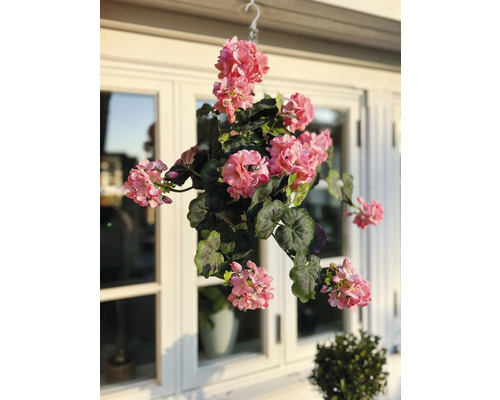 Hängande pelargon med krok framför ett fönster