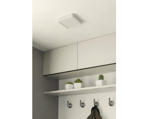 Taklampa i en hall med garderob, förvaringshylla, krokar och dekorativa växter.