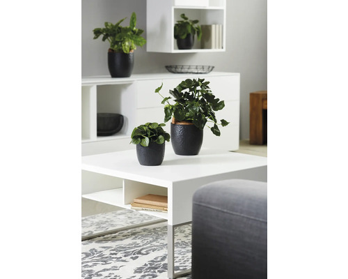 Vardagsrumsdekoration med krukväxter i krukor på ett vitt bord.