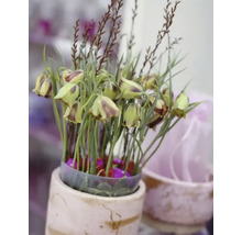 Dekorativ blomsterarrangemang i kruka