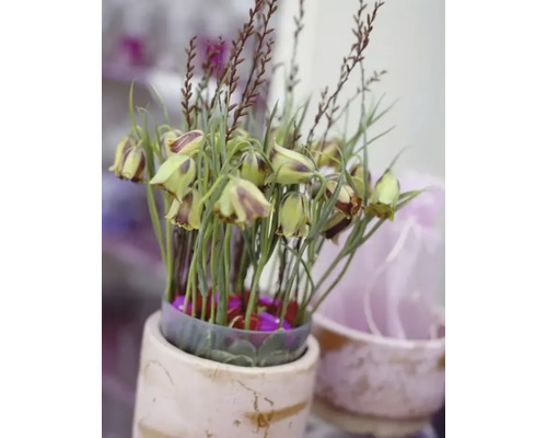 Dekorativ blomsterarrangemang i kruka