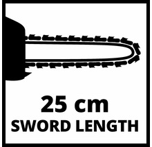 Svärdslängd 25 cm för motorsåg
