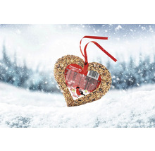 Hjärtformat fågelfoder med rött band för upphängning