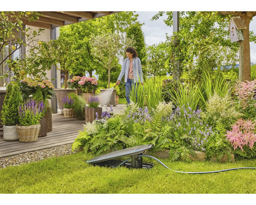 Trädgård med sprinkler och en kvinna som vattnar växter