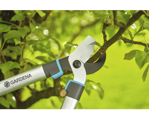 Trädgårdssax klipper en gren