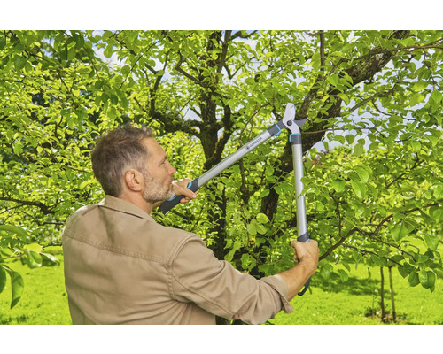 En man använder en grensax i trädgården för att beskära grenar.