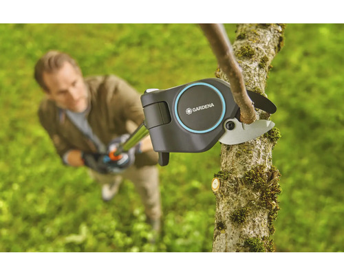 Man klipper gren med en Gardena grensax