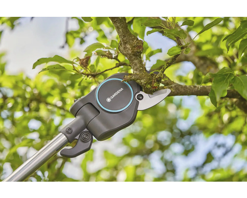 Trädgårdssax med skaft för att klippa grenar i ett träd