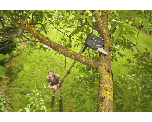 En Gardena grensax används på ett träd, med en person i bakgrunden.