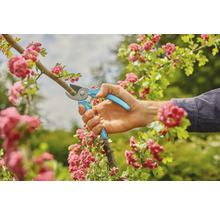 Trädgårdsarbete: En hand använder en sekatör för att klippa en gren med blommor.