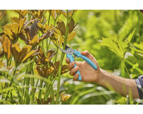 Trädgårdssax används för att trimma växter