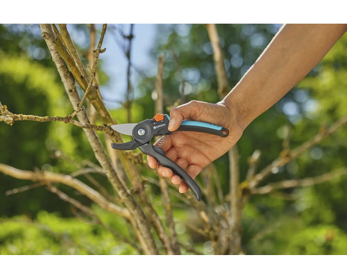 Trädgårdssax i bruk för att beskära en gren