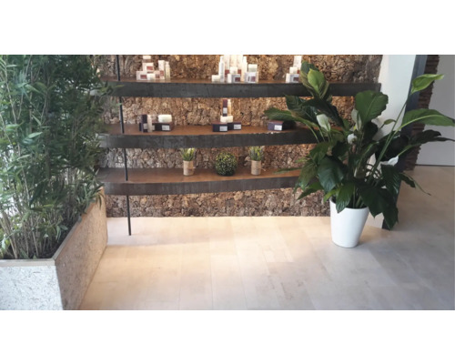 Dekorativa hyllor med växter och vårdprodukter i ett ljust rum.