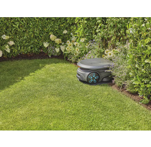 Robotgräsklippare på gräsmatta bredvid buskar och blommor