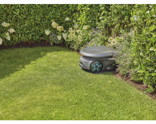 Robotgräsklippare på gräsmatta bredvid buskar och blommor