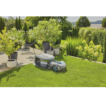 Scen med Gardena robotgräsklippare på gräsmatta, med växter och buskar i bakgrunden.