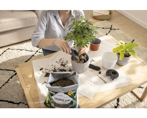 Kvinna planterar om en krukväxt i en Lechuza-kruka
