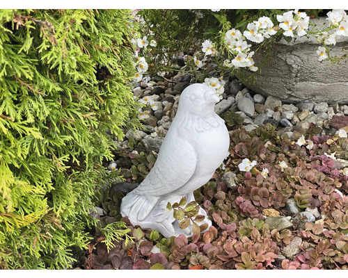 Trädgårdsscen med en fågelstaty av sten