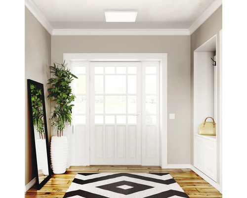 Hall med garderob, spegel, växt, matta och taklampa