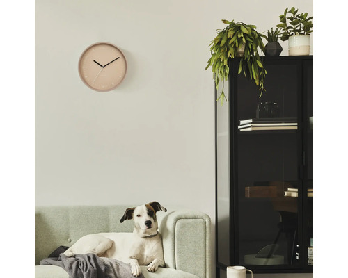 Vardagsrum med väggklocka, hund på soffa och svart glasskåp