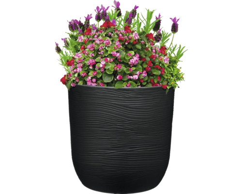 Blomkruka med plantering av lavendel och begonier