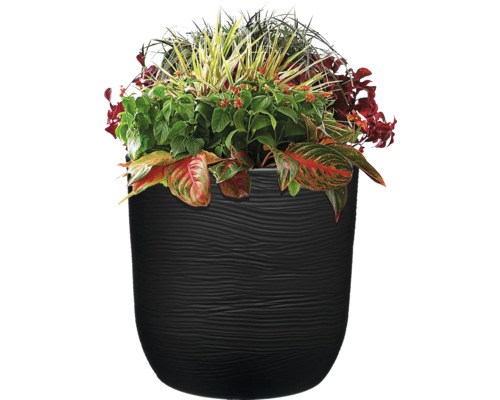 Svart blomkruka med olika växter och blad