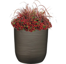 Blomkruka med röd Calibrachoa plantering och prydnadsgräs