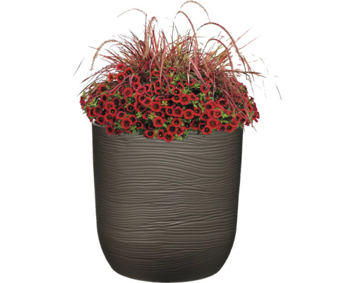 Blomkruka med röd Calibrachoa plantering och prydnadsgräs