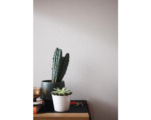 Dekorativa krukväxter i krukor på ett bord