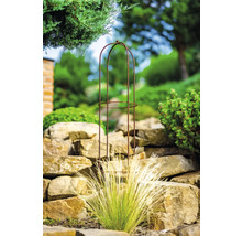 Trädgårdsbild med växtstöd av metall