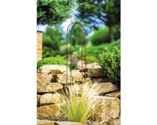 Trädgårdsbild med växtstöd av metall