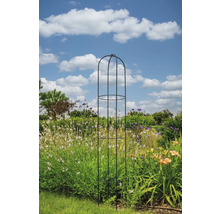 Växtstöd i metall i en trädgård med blommor och blå himmel