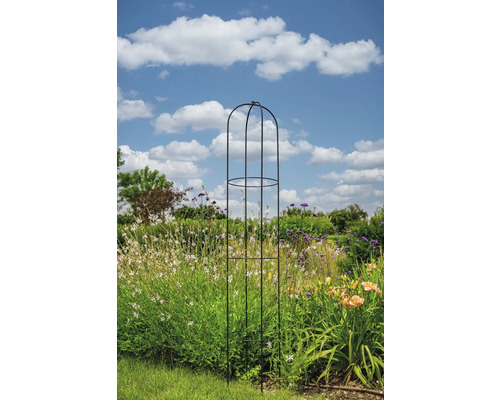 Växtstöd i metall i en trädgård med blommor och blå himmel